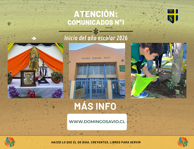 Borcelle 650 x 500 px